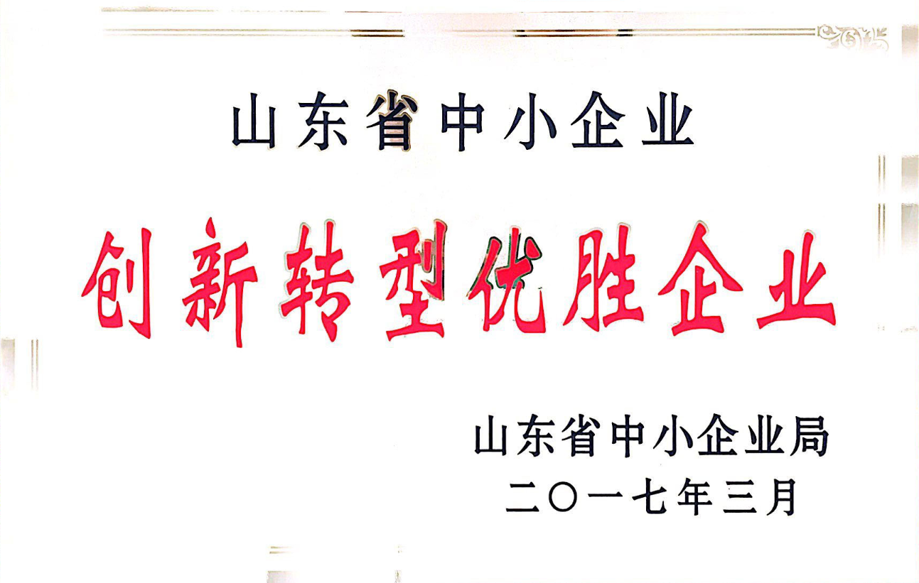 2017年公司入選山東省創(chuàng)新轉(zhuǎn)型優(yōu)勝企業(yè)